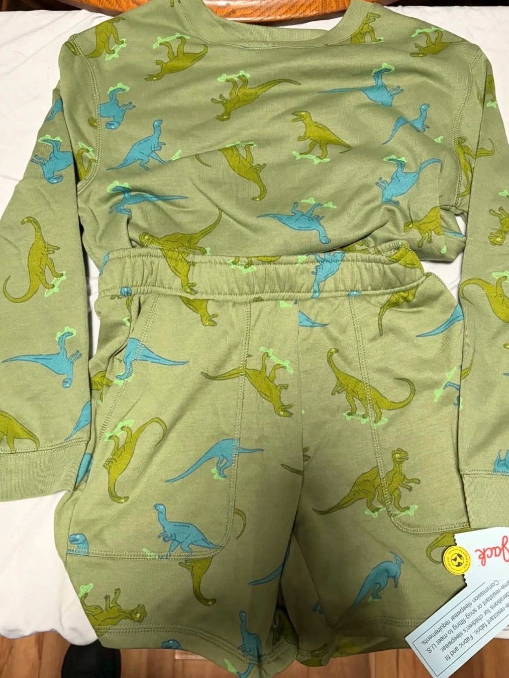 Target Olive Green Kids Shorts Set with Blue and Green Dino Print